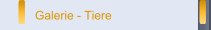 Galerie - Tiere